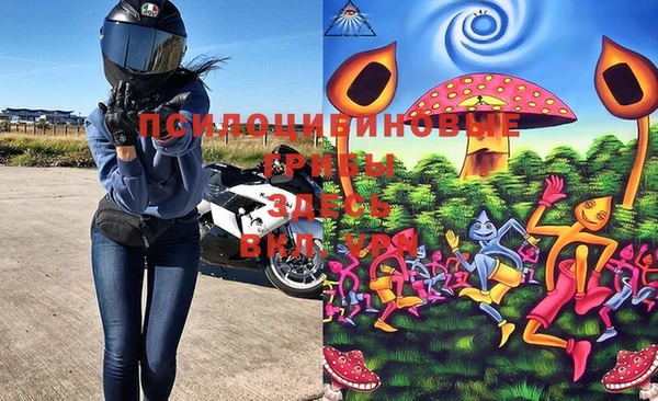 дмт Пестово
