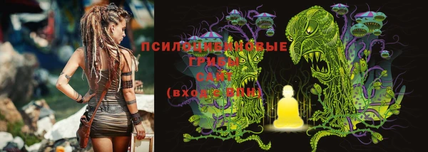 apvp Покровск