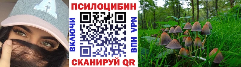 Галлюциногенные грибы Psilocybine cubensis  Советский 